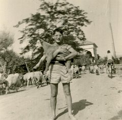 SIDI BEL ABBES 1960 JEAN PIERRE 03
